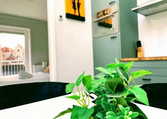 Location In Centrum * Leida